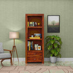 Wooden bookshelf with books and decor items against a green wall with a lamp and plant.
