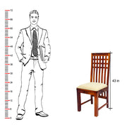 Solid Wood High Back Dining Chair Set of 2 for Dining Room