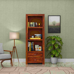 Wooden bookshelf with books and decor items against a green wall with a lamp and plant.