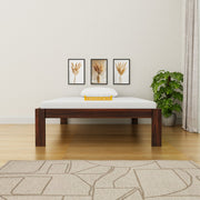 Wooden bed with white mattress in a room with framed pictures and a plant.