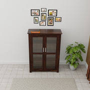 Premium Wooden Bookshelf With 2 Door for Living Room